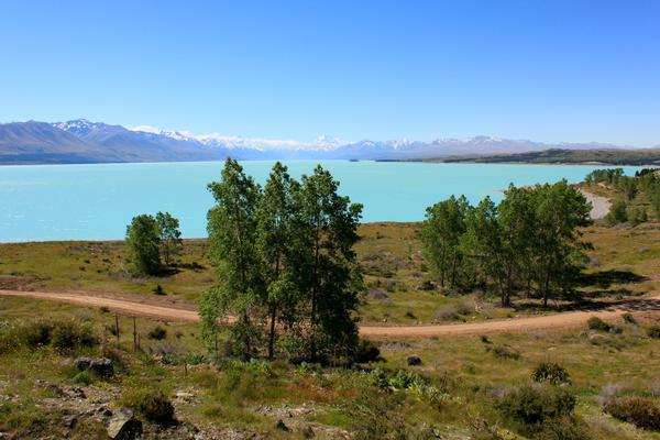 The trail curls around Lake Pukaki offering superb views of Aoraki Mount Cook.